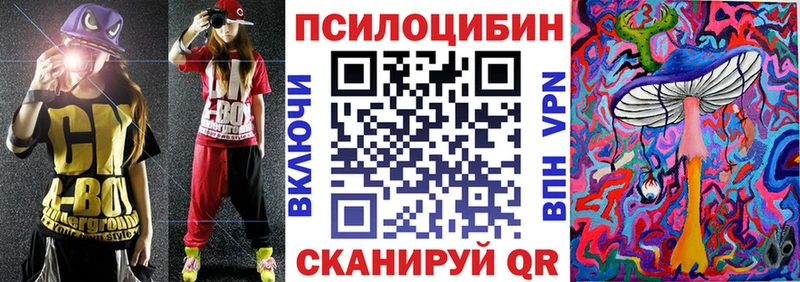 Псилоцибиновые грибы Psilocybe Котельники