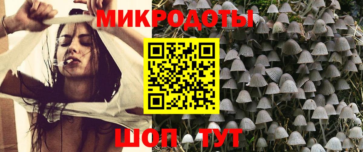 купить  сайты  Вход с VPN  Котельники  Псилоцибиновые грибы Magic Shrooms  Псилоцибиновые грибы Cubensis 