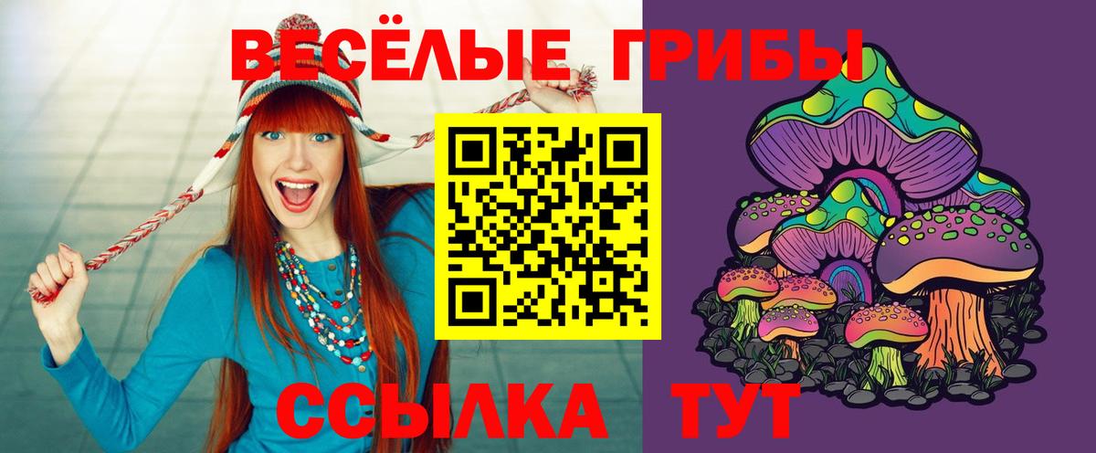 Псилоцибиновые грибы мухоморы  Котельники  даркнет сайт  Галлюциногенные грибы MAGIC MUSHROOMS 