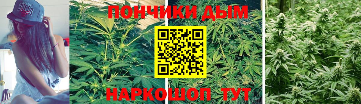 Бошки Шишки White Widow  Каннабис ГИДРОПОН  Котельники  Конопля семена 