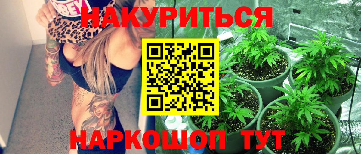 Каннабис сатива  МАРИХУАНА планчик  Конопля планчик  Котельники  Вход с VPN 